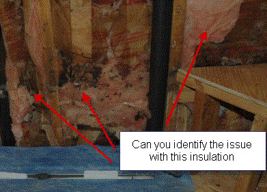 Mold and Mildew in Shower Area