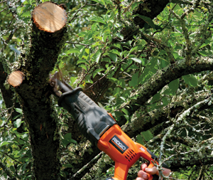 The Ridgid X3 makes short work of these plumb tree branches.