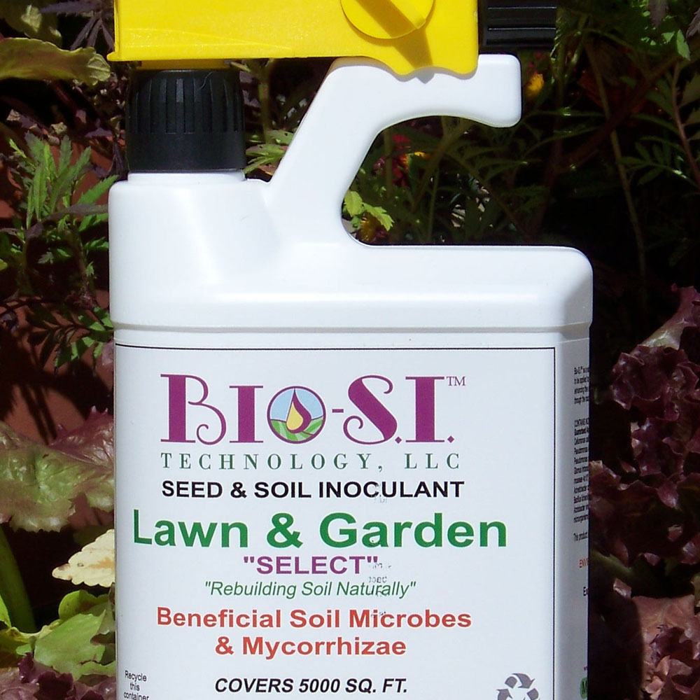 Natural Restoration of Your Lawn and Garden