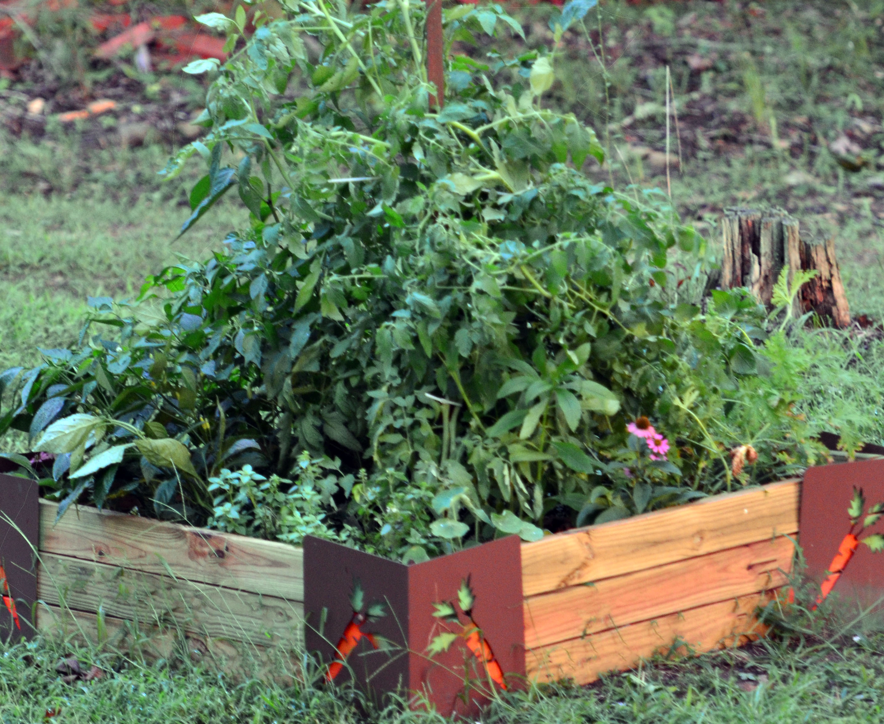 Gardening with the Kids, When the Life Lesson You Thought You Were Teaching Your Kids Is Actually a Life Lesson For You