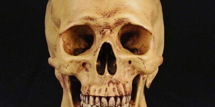 skull1-new