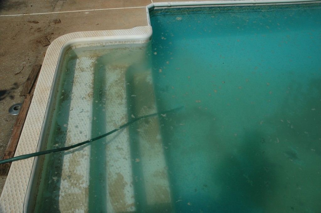 Opening a Swimming Pool, Second Day Adding a Flocculate or Clarifier
