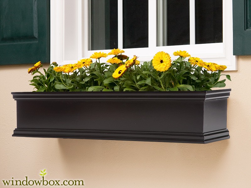 Fall Inspired Window Boxes - Extreme How-To Blog