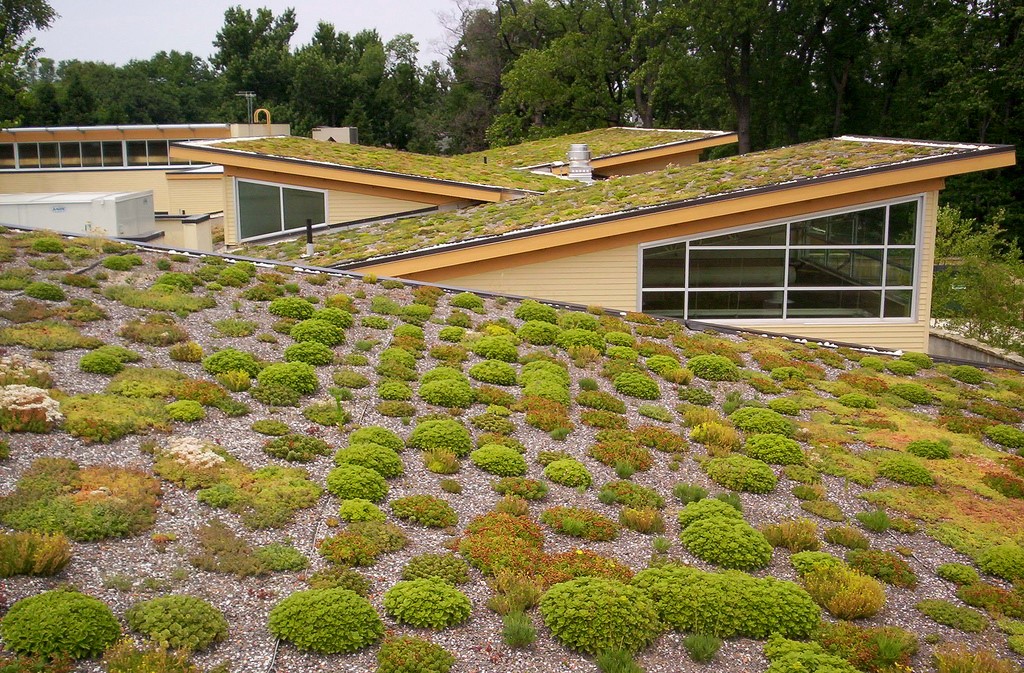 Create A Green Roof Extreme How To Blog - Diy Green Roof Trays