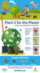 Plant It for the Planet